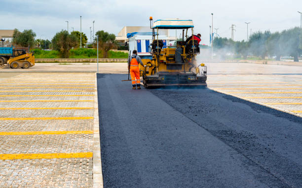 Best Custom Driveway Design  in Walterboro, SC